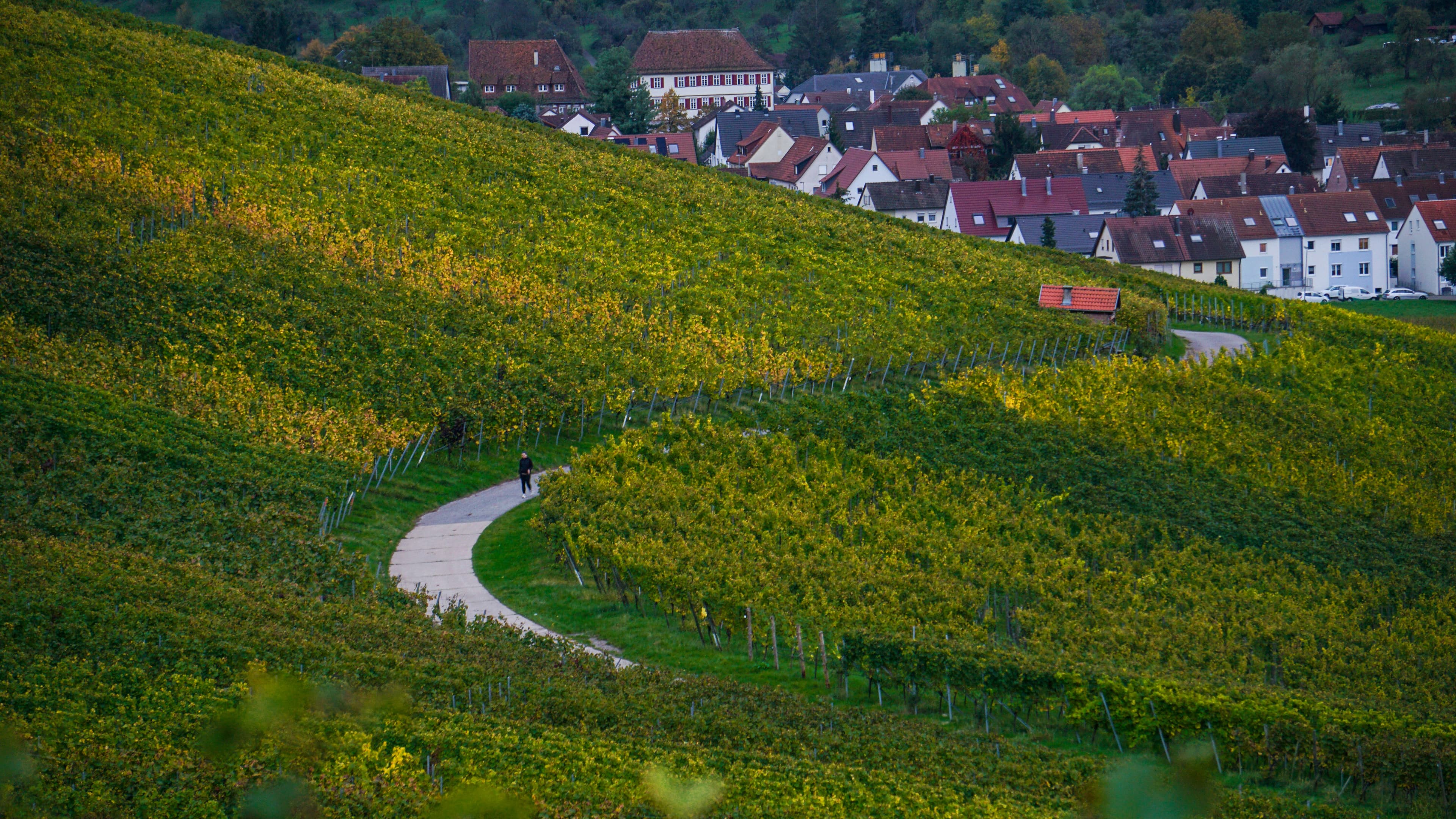 Flein - Blickle & Weller Immobilien